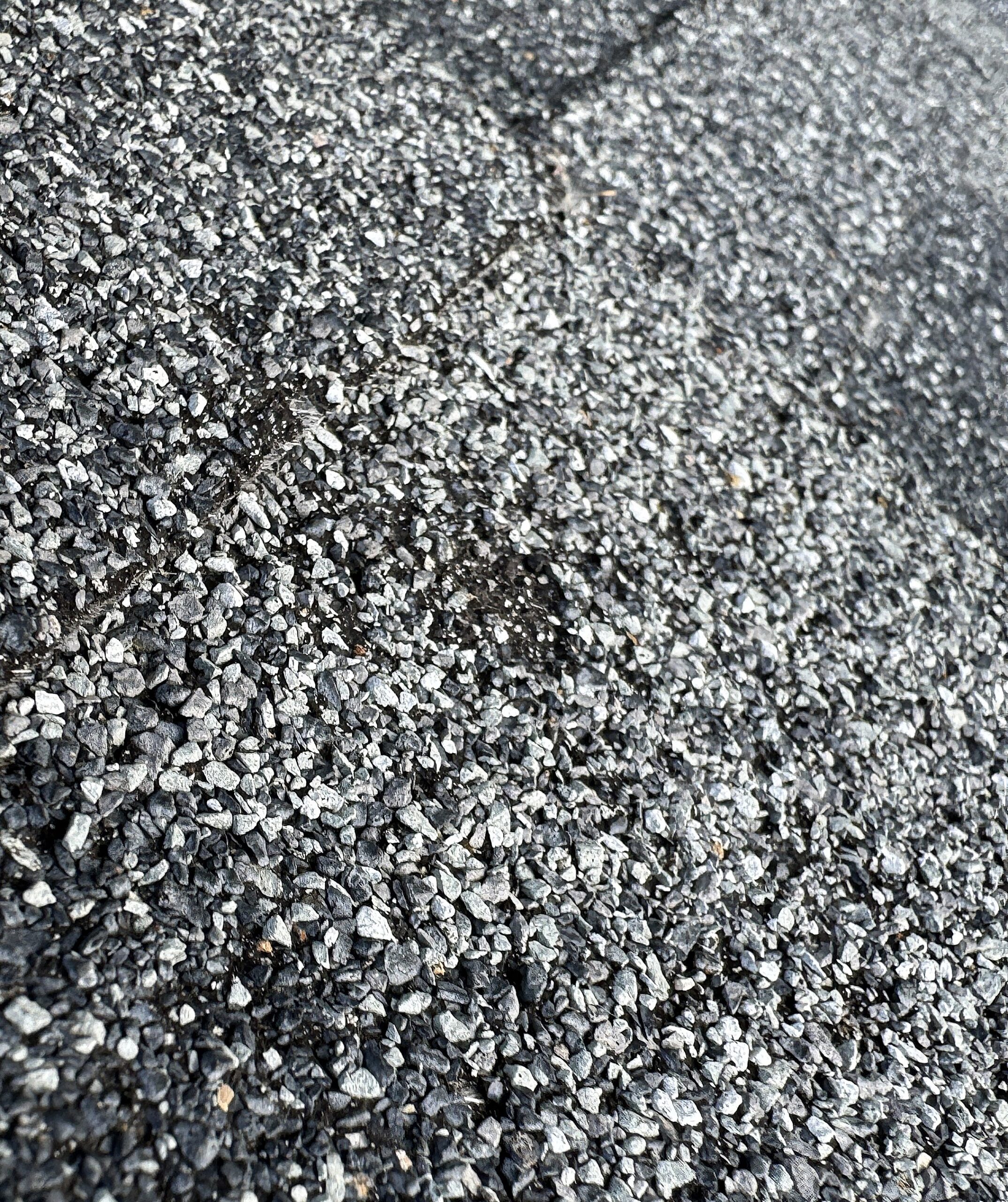 Close up of shingle missing granules Hail-damaged shingle shows granule loss