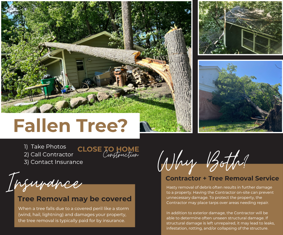 What to do with a fallen tree
