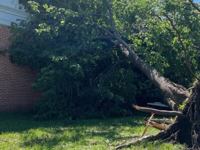 Storm causes tree to fall on house
