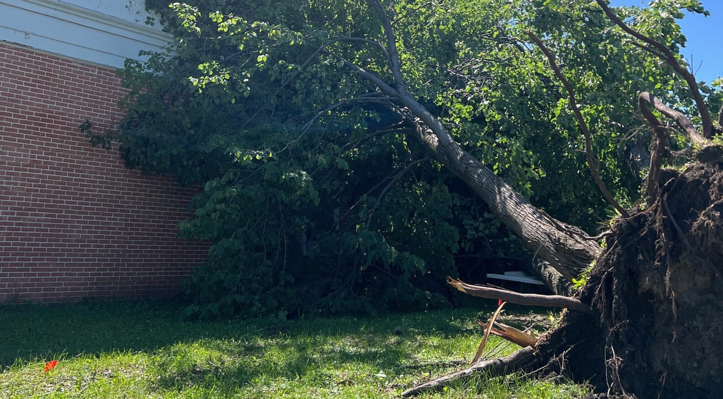 Storm causes tree to fall on house